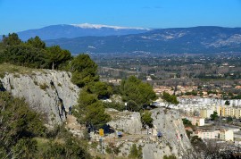 vaucluse_cavaillon